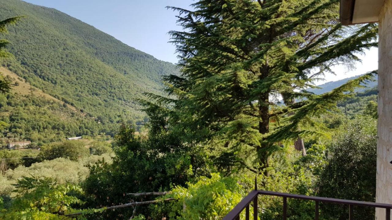 Villa Del Maestro Lenola Exteriér fotografie